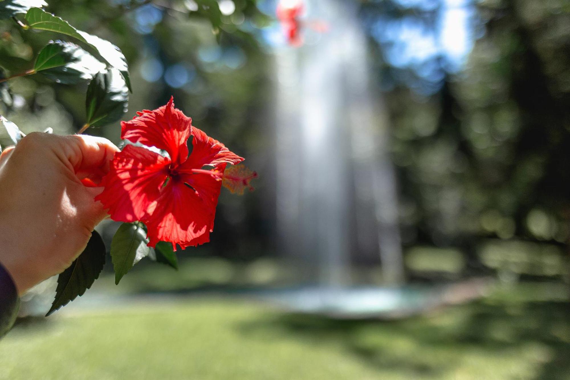 נובה פטרופוליס Hotel Jardins Da Colina מראה חיצוני תמונה